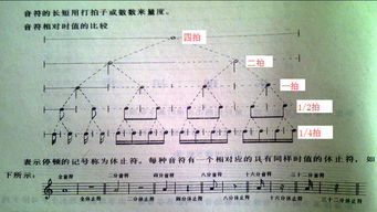 口琴五线谱的音符为什么有些是实心有些事空心的