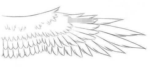 推荐 只需几步就能拥有一双维密翅膀 简单粗暴的翅膀绘画技巧