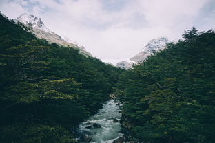 山是眉峰什么——探寻山的意境与眉峰的诗意，山是眉峰聚是什么意思?