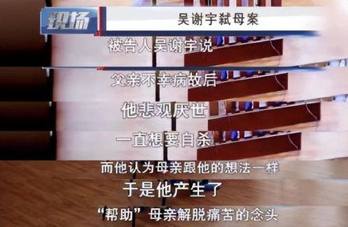 特讯直击!云霄香烟厂官网揭秘，取缔风波背后的真相“烟讯第51275章” - 5 - 680860香烟网