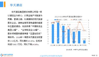 酒店市场调研报告