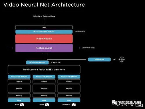 九头蛇的进化 Tesla AutoPilot 纯视觉方案解析
