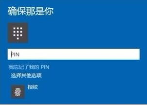 win10如何重新启用pin码与指纹