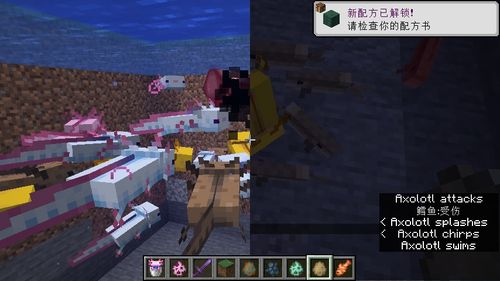 Minecraft 20w51a 新特性 代码分析