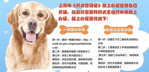 在虹口怎么办理养犬证 什么品种的狗狗不能养 新一季 虹SIR警报 发布文明养犬倡议
