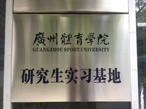 体育考研院校排名汇总(广州体育学院在哪个区)