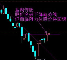 股票,盐湖钾肥是生产钾肥的最大厂家吗?