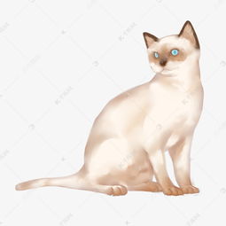 白色蓝眼睛猫咪插画素材图片免费下载 千库网 