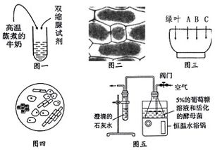 色素提取分离实验 图片搜索