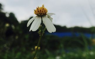 2018年7月7日生日命运