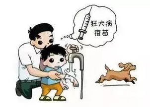 打完狂犬病疫苗,到底要不要忌口