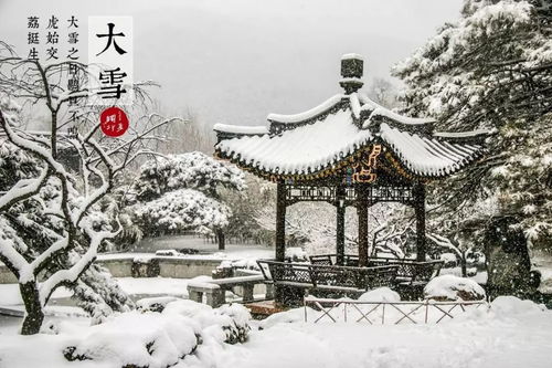 关于24节气大雪的诗句