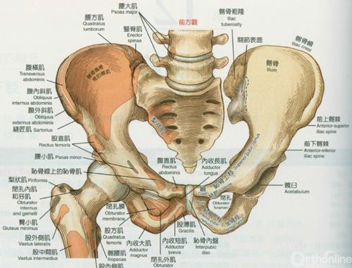 祁连山我11号买成9块怎么到15号就降成了6.82了？求详细解释！！！10转增3.00股派0.50元（税前)