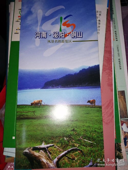 旅游怎样写景点介绍范文-向别人介绍一个景点？