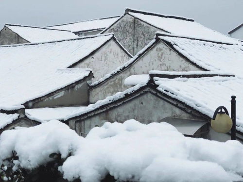 官宣 绍兴马上要下雪,下午冷空气提前杀到,晚上开始下雪