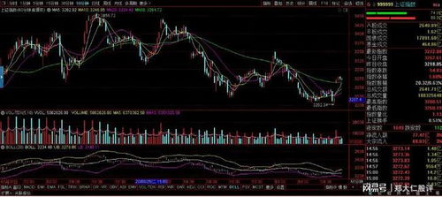 股价从跌停到涨停： 有没有这样一种可能，今日股价跳空高开 10% ，然后开盘继续上涨 10% ，