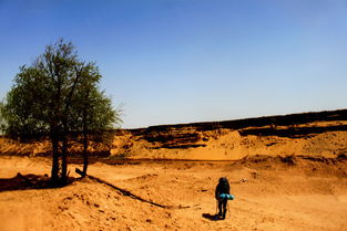 详细攻略 徒步穿越库布齐沙漠 ,库布齐沙漠自助游攻略 马蜂窝 