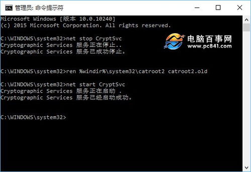 win10验证码总是错误怎么解决