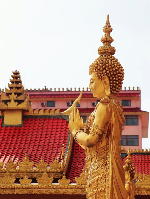 如果没办法去泰国,那就来一趟常州慈山寺吧 