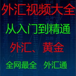 外汇，黄金，股票，操盘手?  招聘的操盘手，是什么东东呢?