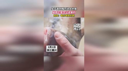 女子遇到嘴巴闭合的鱼,疑惑它是怎么进食的,网友 喝水喝饱的吧