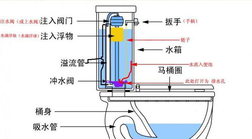 智能马桶 智能马桶盖,功能基本相同,价格差一倍,选哪种更好