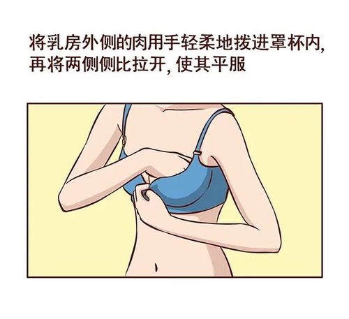 腋下的两坨,到底是赘肉还是副乳 若是副乳,你或许要小心了