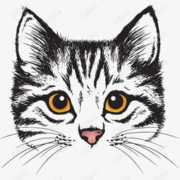 可爱的猫头素材图片免费下载 高清装饰图案png 千库网 图片编号4949271 