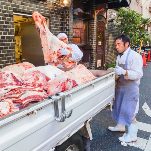 日本人 靠吃肉长高10厘米 