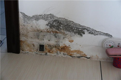 外墙墙体渗水怎么办外墙漏水怎么补救，有直接在外墙表面做防水的吗