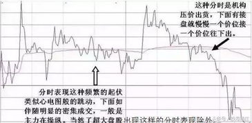 股票代码五位数的为什么不能买