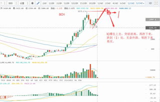 ton币最新消息及前景