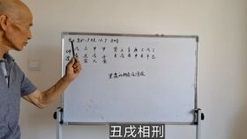 蔡添逸八字命理批命实例第580堂 我的八字无财所以要辛苦得财