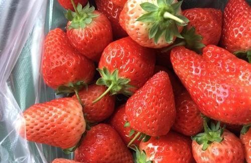 买草莓时,碰到 这3种 千万不要买,水果贩子都不让家里人吃