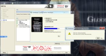 win7安装oracle 11g 出现的问题 ORA 31011 