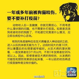 今天是第8个世界狂犬病日