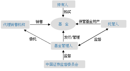 什么是投资基金五步法则？