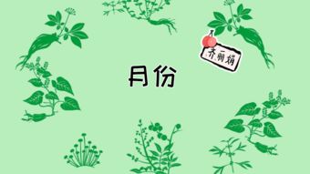 2019年宝宝流行的取名方式,即好听又有内涵,给宝宝起名不用愁了