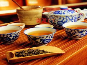 茶文化基础知识