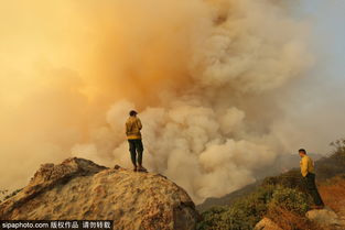 加州山上野火燃烧 当地政府派出消防飞机空投阻燃剂