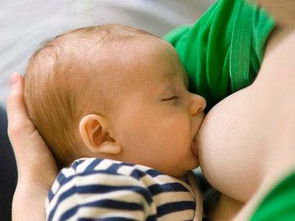 刚出生的宝宝什么时候开始喂奶 婴儿喂奶注意事项