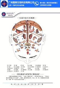 头皮排毒的必要性 头皮排毒 玛萨仕克