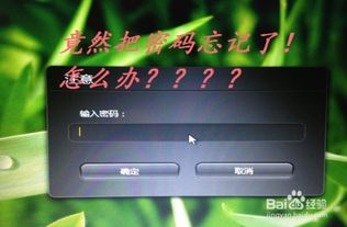 如果忘记了电脑一键还原设置**，有哪些解决方案？