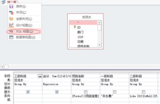 Access的SQL视图查询中为什么不能在数字常量前加“￥”或“$”符号表示币值常量？“￥”或“$”有何作用？