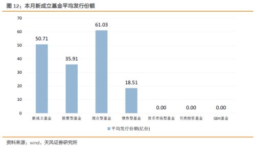 新成立的基金确认份额之后什么时候可以看到浮动收益