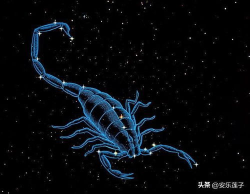 星座闲谈 哪几个星座比较抠门