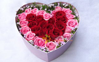 心心相印 花盒 33枝玫瑰组成双心形精致花盒 中间13枝红玫瑰组成心形,玛丽亚粉玫瑰20枝围绕一圈, 鲜花 