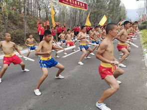 登封少林鹅坡武术专修院怎么样