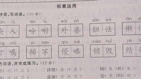 二年级上考卷上的基础知识讲解,加偏旁变新字再组词,你能满分吗