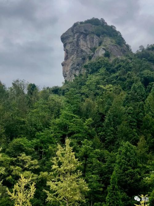 乐清仙溪寻仙之旅,风光旖旎等你来